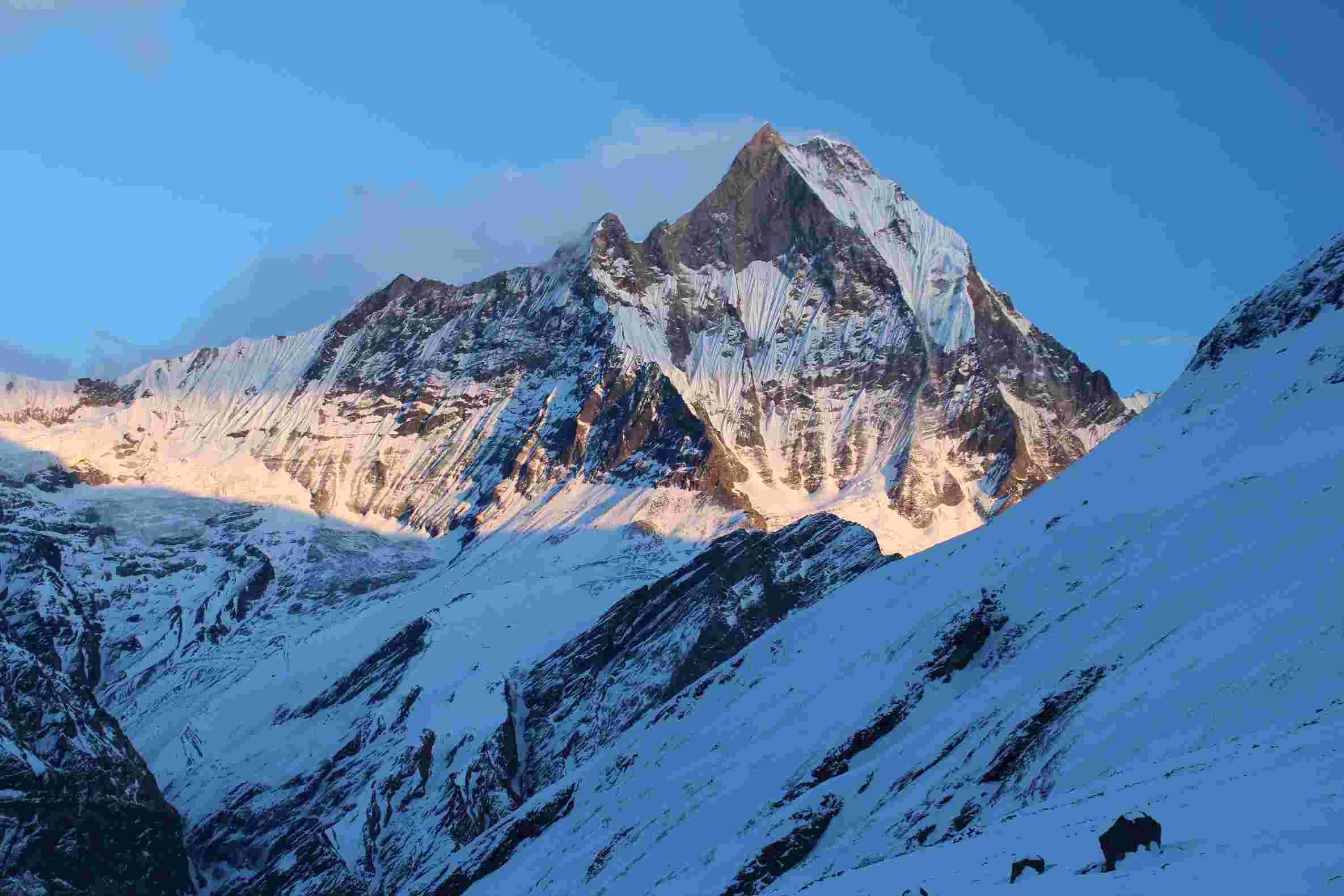 19 Reasons to Never Climb the Matterhorn