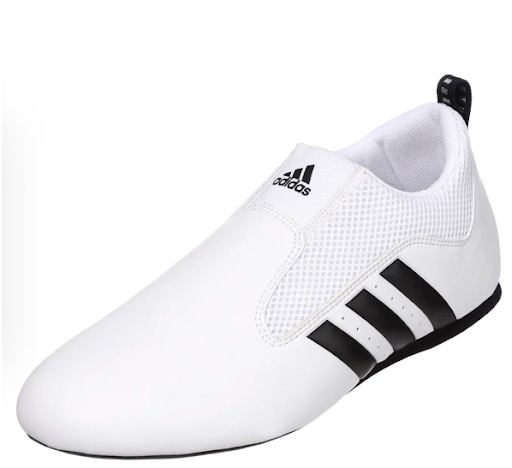 Are Adidas Taekwondo Trending