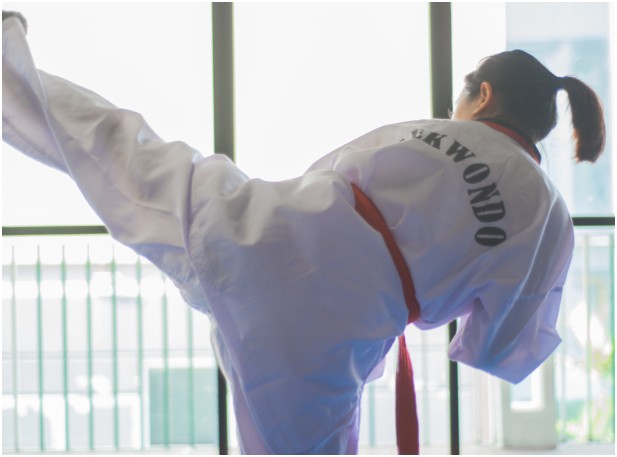 Back Kick (Dwi Chagi)