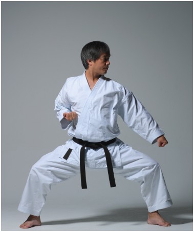 Back Stance (뒷굽이 Dwi Kubi)