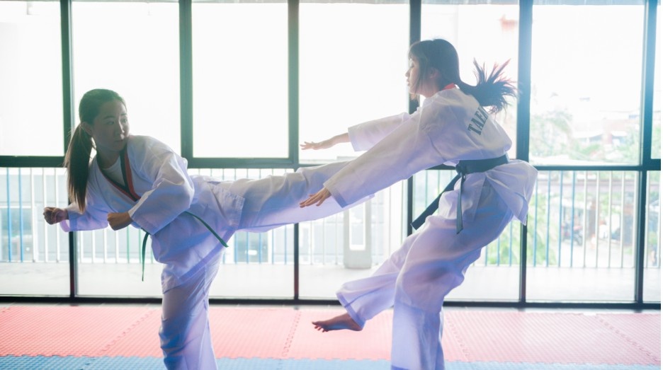 Can Jiu Jitsu Beat Taekwondo