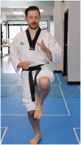 Crane Stance (학다리서기)