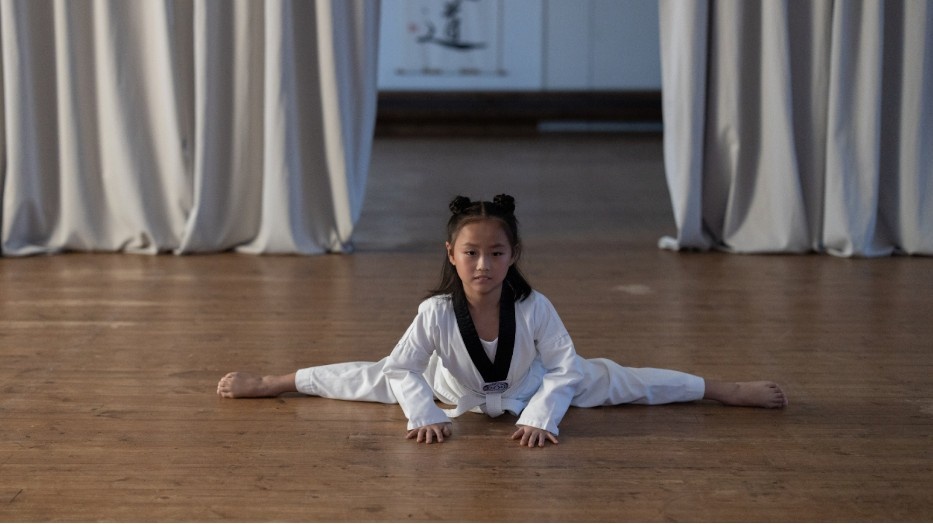 Is Taekwondo Korean in Its Philosophy