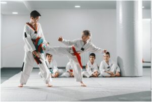 Is Taekwondo Martial Arts