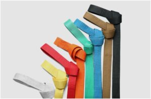 Taekwondo Belt Order