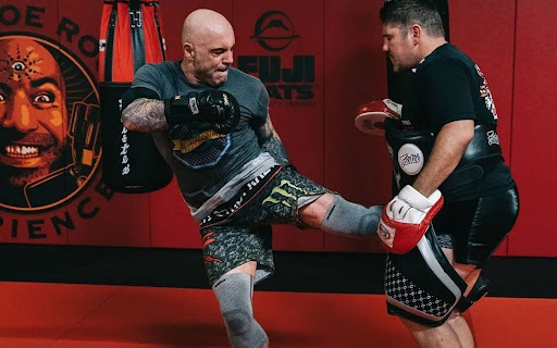 Why Joe Rogan Quit Competitive Taekwondo