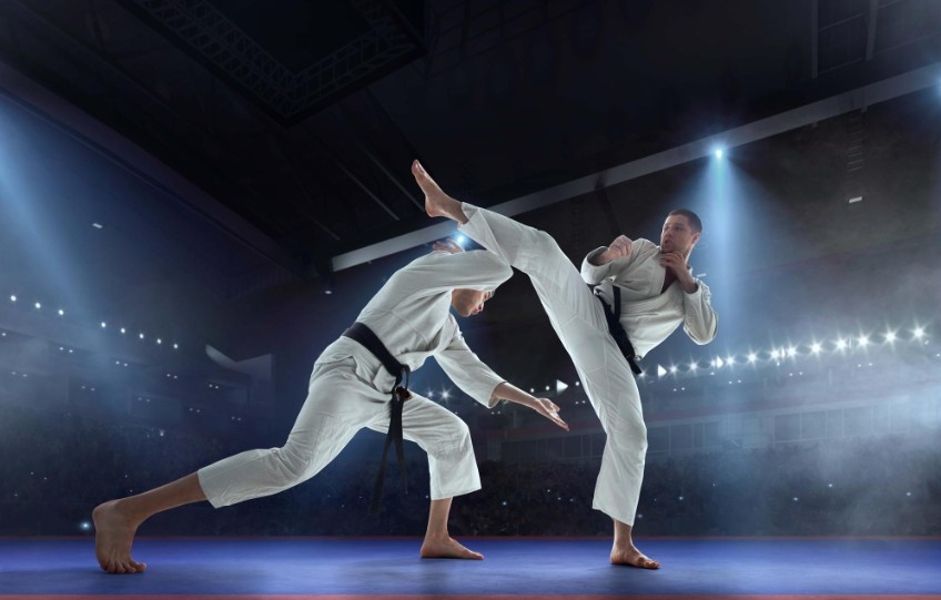 How Do ITF and WT Taekwondo Differ in Training